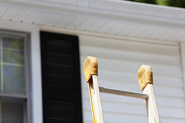 Professional Siding Installation & Repair in Lamar, SC